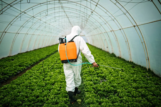 Best Best Pest Control Near Me  in Las Lomas, CA
