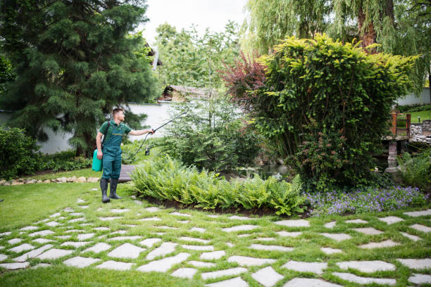 Best Pest Control for Homes  in Las Lomas, CA