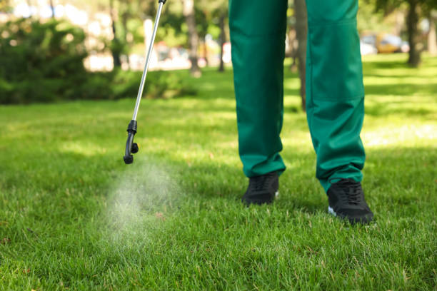 Best Pest Control Near Me in Las Lomas, CA