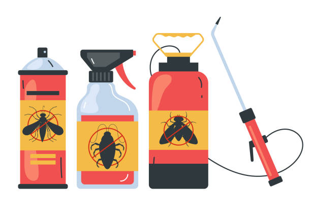 Best Affordable Pest Control Services  in Las Lomas, CA