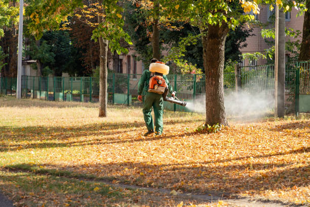 Best Residential Pest Control  in Las Lomas, CA
