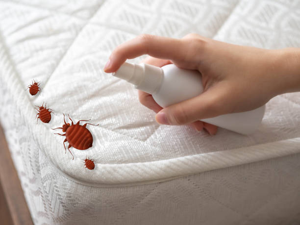 Best Commercial Pest Control Services  in Las Lomas, CA