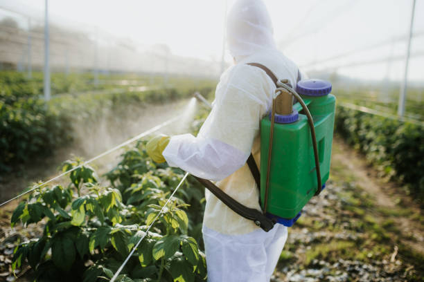 Best Emergency Pest Control  in Las Lomas, CA